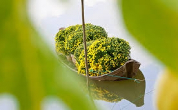 Xuân đời xuân đạo